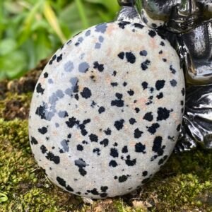Galet Jaspe Dalmatien