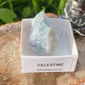 Célestine Brute 4/4cm