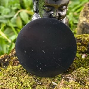 Pierre plate Shungite